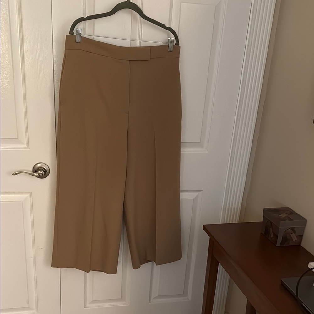 Zara Tan Wide Leg Pants